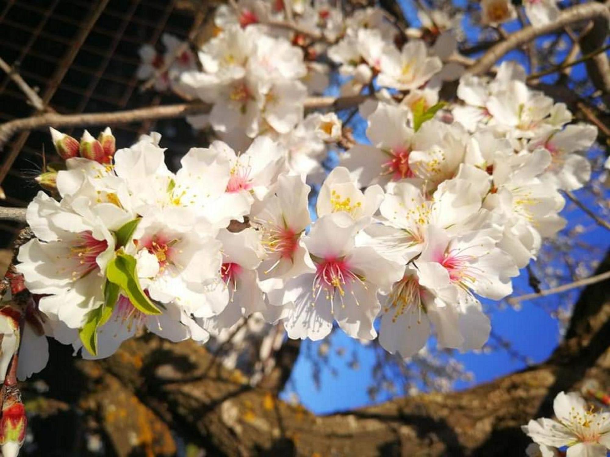 Lala Salama 산리온 외부 사진